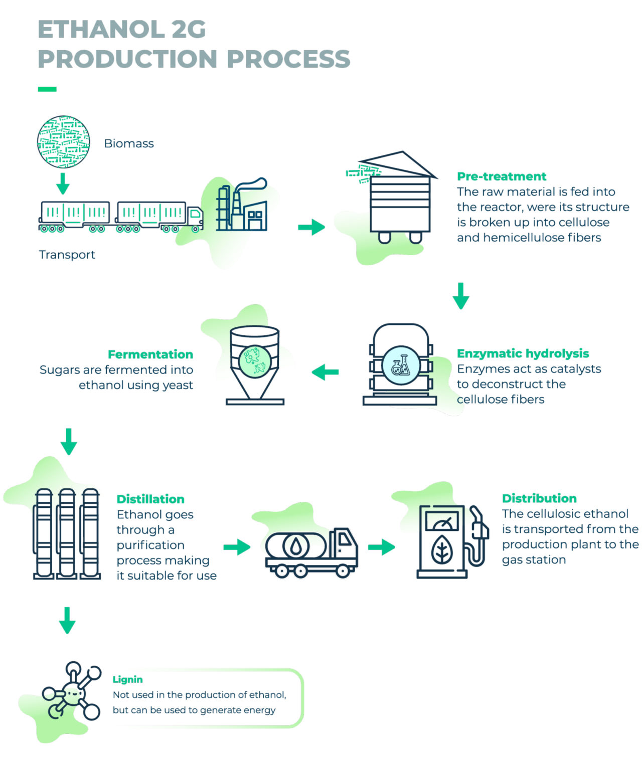 Infographics - SugarCane