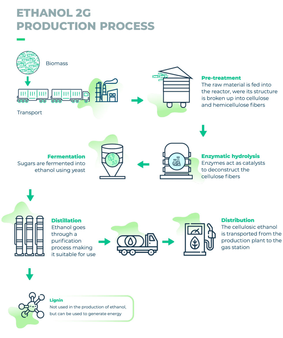 Infographics SugarCane