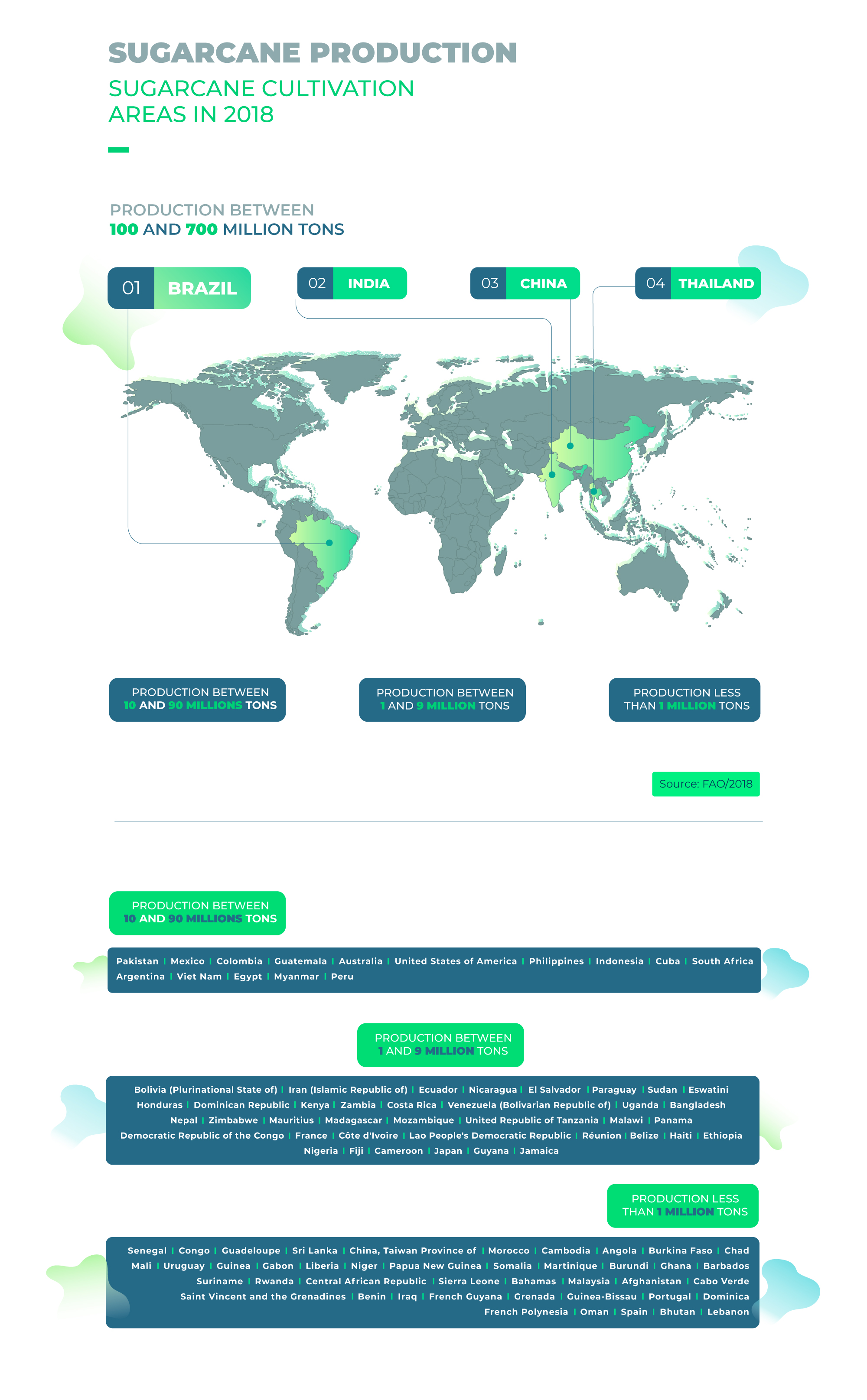 Infographics - SugarCane