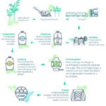 Infographics - SugarCane